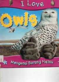 I Loves : Owls