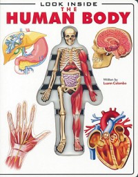 Look Inside Human Body