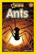 National Geographic Kids Level 1 : Ants