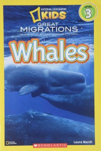 National Geographic Kids Level 3 : Great Migrations : Whales