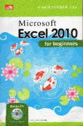 Microsoft Excel 2010 For Beginners (+1 Cd)