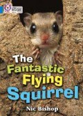 Fantastic Flying Squirrel