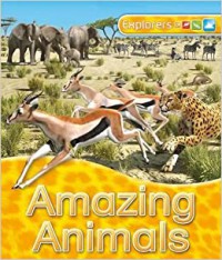 Explorers Amazing Animals