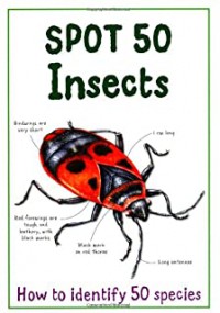 Spot 50 Insects