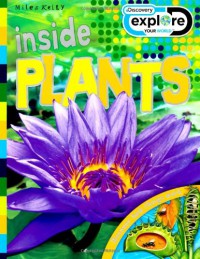 Inside : Plants