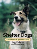 Shelter Dogs (Amazing Stories Of Adopted Strays)