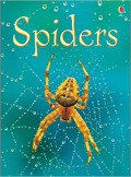 Usborne Beginners : Spiders