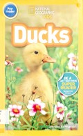 National Geographic Kids (Pre-Reader): Ducks