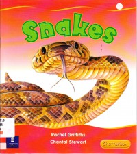 Chatterbox (Early 11) : Snakes