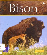 Chatterbox (Fluent 14/15) : Bison