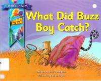 Storylands : What Did Buzz Boy Catch?