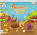 Peekaboo! What'S In The Sea?