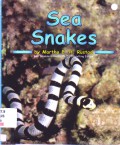 Ocean Life : Sea Snakes