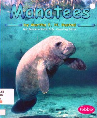 Ocean Life : Manatees