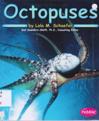 Ocean Life : Octopuses