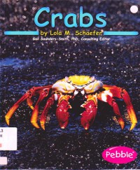 Ocean Life : Crabs