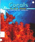 Ocean Life : Corals