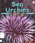 Ocean Life : Sea Urchins