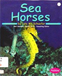 Ocean Life : Sea Horses