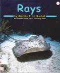 Ocean Life : Rays