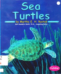 Ocean Life : Sea Turtles