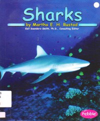 Ocean Life : Sharks