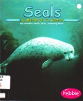 Ocean Life : Seals