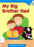 Houghton Mifflin : My Big Brother Ned ( Lv B K.6.27 )