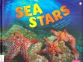 Sea Life : Sea Stars