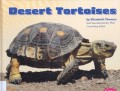 Reptiles : Desert Tortoises