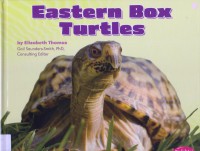 Reptiles : Eastern Box Turtles