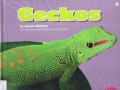 Reptiles : Geckos