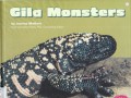 Reptiles : Gila Monsters