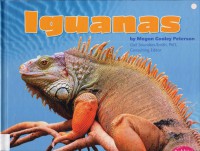 Reptiles : Iguanas