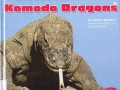 Reptiles : Komodo Dragons