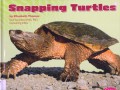 Reptiles : Snapping Turtles