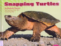 Reptiles : Snapping Turtles