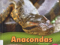 Snakes : Anacondas