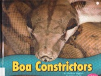 Snakes : Boa Constrictors