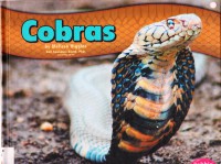 Snakes : Cobras