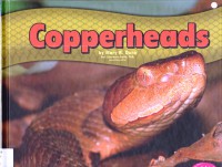 Snakes : Copperheads