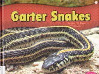 Snakes : Garter Snakes