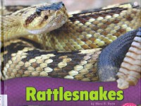 Snakes : Rattlesnakes