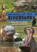 Animals Of The Riverbank