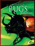 Discover Bugs