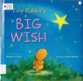 Tiny Rabbit'S Big Wish