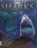 Discover Sharks
