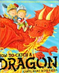 How to catch a dragon