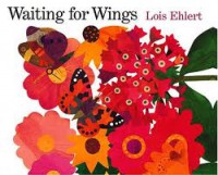 (Big Book) Houghton Mifflin Pre-K Math : Waiting For Wings