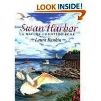 (Big Book) Houghton Mifflin Pre-K Math : Swan Harbor